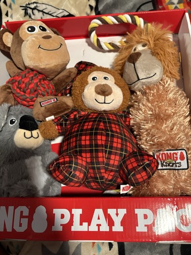 Bnwt kong play pack 4 - pack,